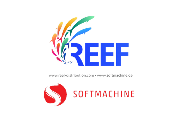 Softmachine